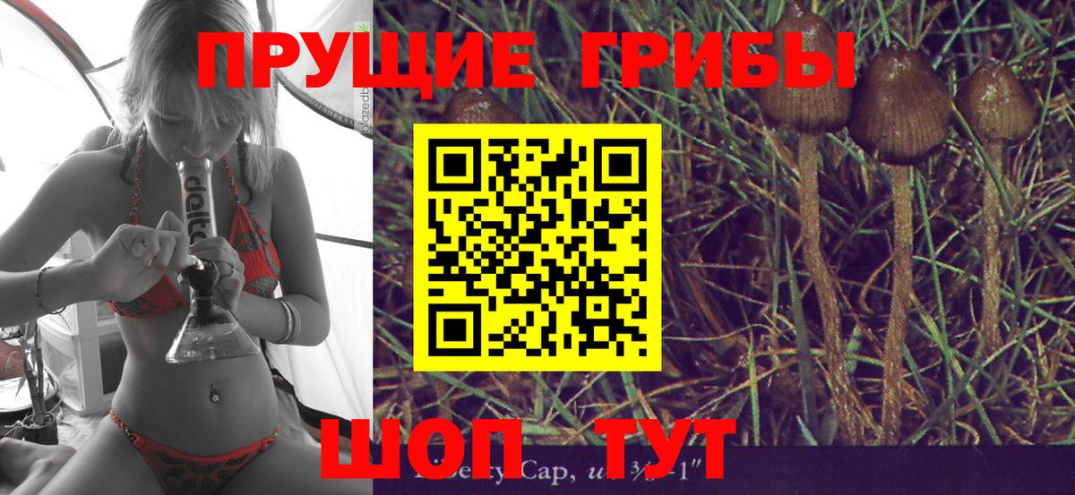 Галлюциногенные грибы ЛСД Гагарин